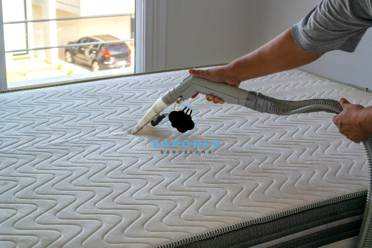 Tu colchón libre de ácaros y gérmenes